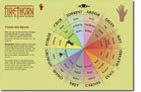 Firethorn interactive compass